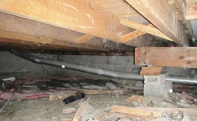 Crawlspace inspections